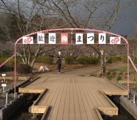 【広報】袖ケ浦公園の梅祭り（１）